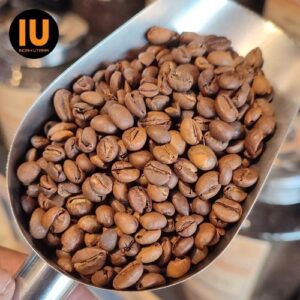 Kopi Liberica Jambi Premium